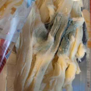 Taze Peynirde Beklenmedik Küf Sorunu