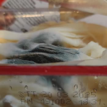 Taze Peynirde Beklenmedik Küf Sorunu