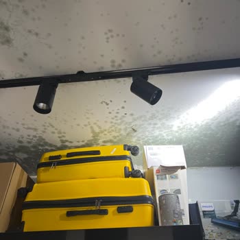 Mutlu İnşaat Projesinde Yaşanan Sorunlar Ve İlgisizlik