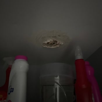 Mutlu İnşaat Projesinde Yaşanan Sorunlar Ve İlgisizlik