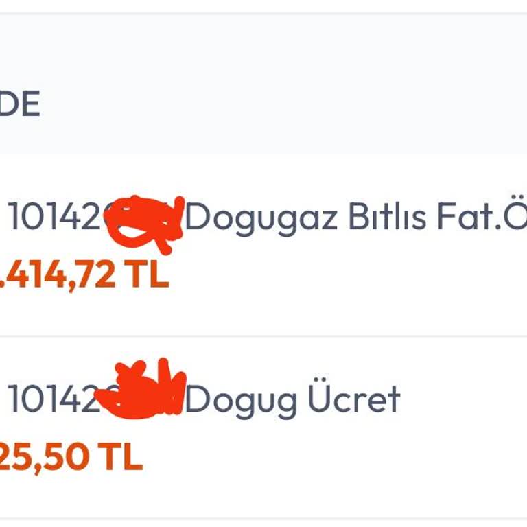 Doğalgaz Ödemelerinde Kart Kullanım Sorunu