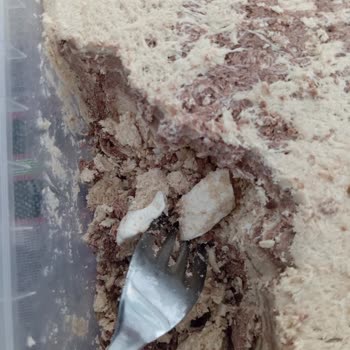 Gesaş Kakaolu Tahin Helva Şikayetim