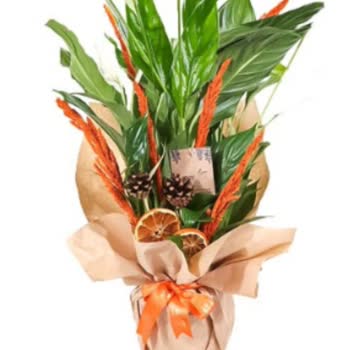 Hayal Kırıklığı Yaratan İlk Sipariş Deneyimi