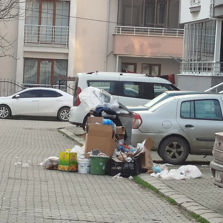 Cumayeri Belediyesi'nin İhmalleri: Çöp Ve Altyapı Sorunları