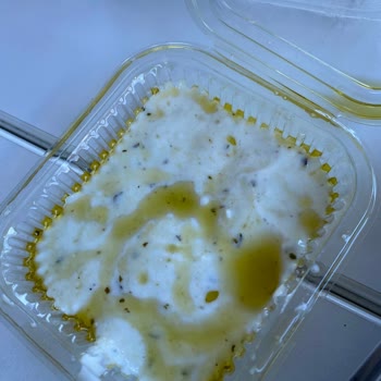 Kötü Yemekler: Sokak Hayvanları Bile Yiyemiyor