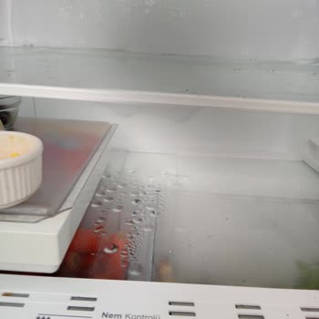 Vestel Finlux Buzdolabında Bitmeyen Buzlanma Sorunu