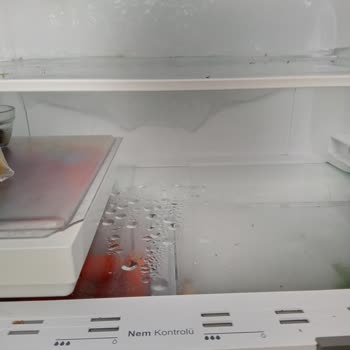 Vestel Finlux Buzdolabında Bitmeyen Buzlanma Sorunu