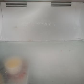 Vestel Finlux Buzdolabında Bitmeyen Buzlanma Sorunu