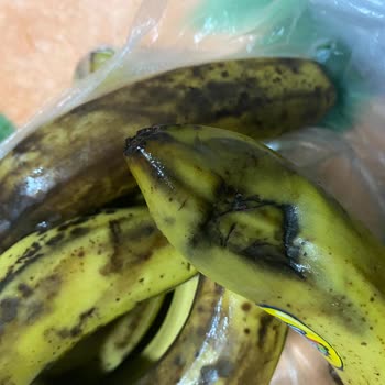 Getir'den Gelen Küflü Ve Bozulmuş Ürünler