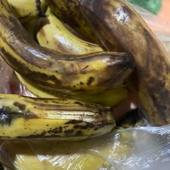 Getir'den Gelen Küflü Ve Bozulmuş Ürünler