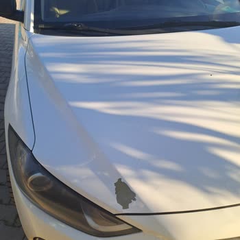 Elantra Kaput Boyası Sorunu: Fabrikasyon Hatası