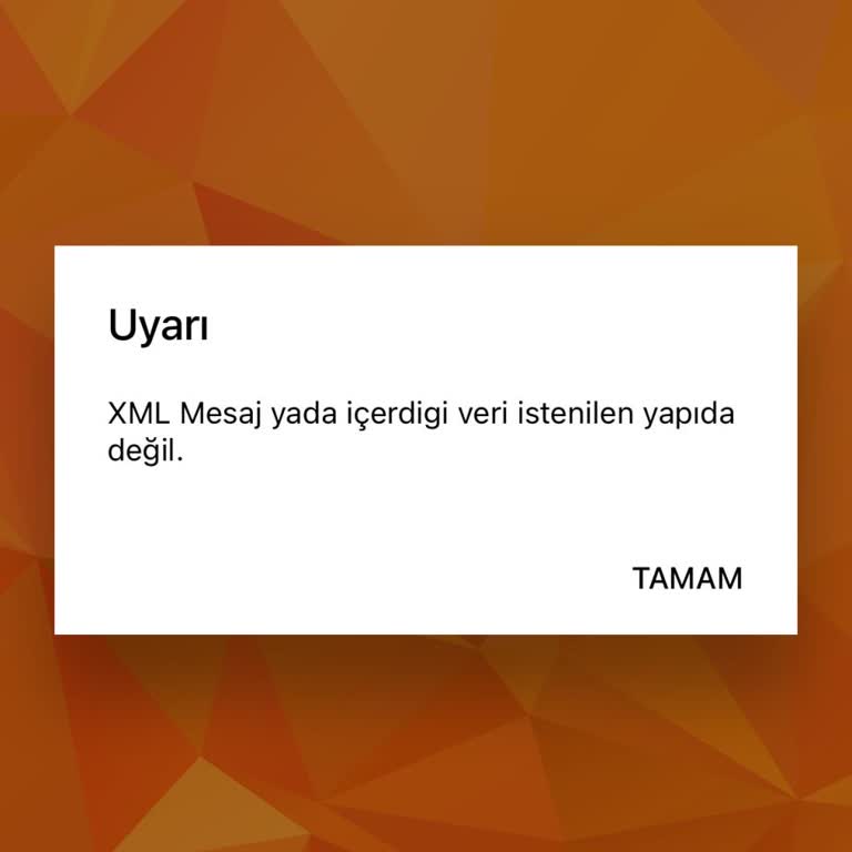 MSÜ 2025 Sınav Başvurusunda Ödeme Sorunu