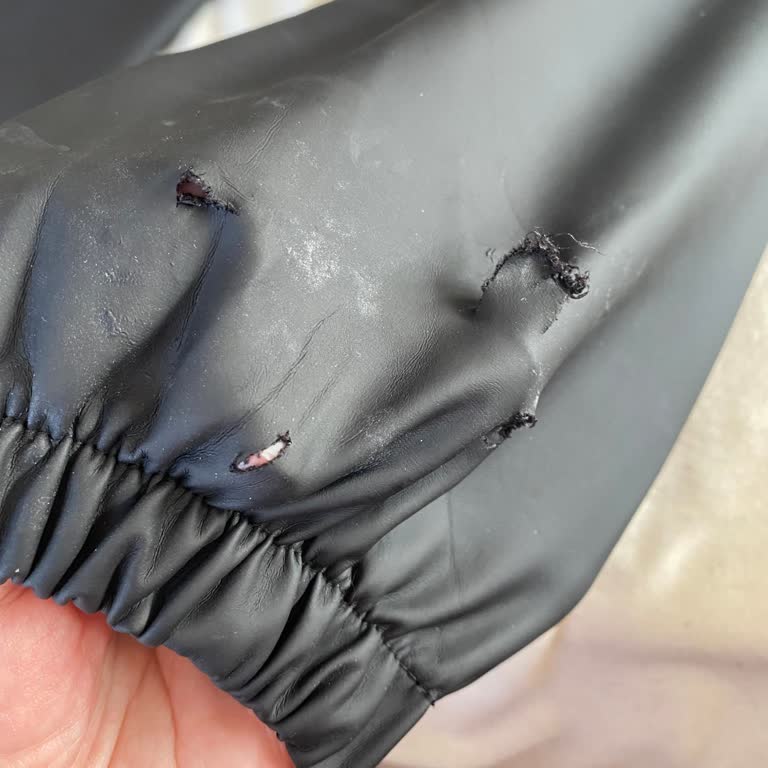 Kafe Çevresinde Saldırgan Köpek Tehlikesi