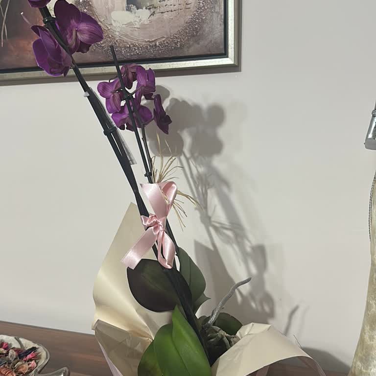 Yanlış Ürün Ve Kötü Hizmetle Hayal Kırıklığı