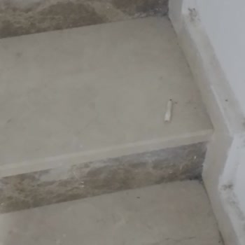 Yönetim İlgisizliği Ve Hizmet Eksiklikleri