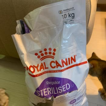 Sahte Kedi Maması Mağduriyeti: Royal Canin Güvenilirliğine Gölge Düşüren Deneyim