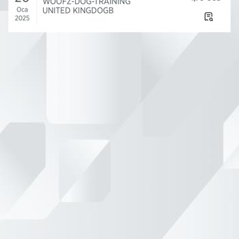 Üyelik Ödemesi Sonrası Giriş Problemi