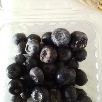 Carrefour SA'da Bozuk Ürün Sorunu: Yaban Mersini Ve Soğuk Baklava Deneyimi