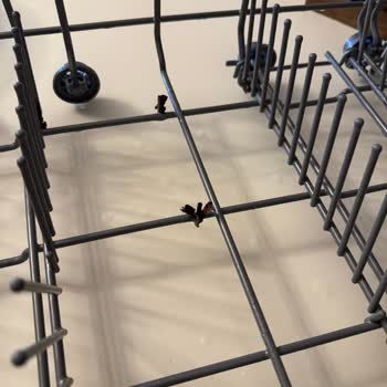 Teka Bulaşık Makinesi Sepetlerinde Paslanma Ve Yüksek Yedek Parça Ücretleri