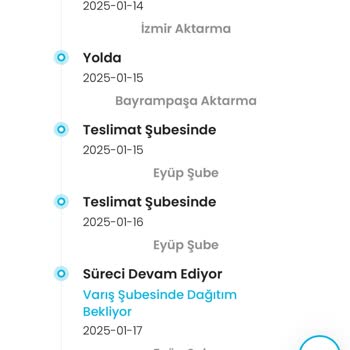 Kargo Teslimatında Yaşanan Sorunlar Ve Gecikmeler