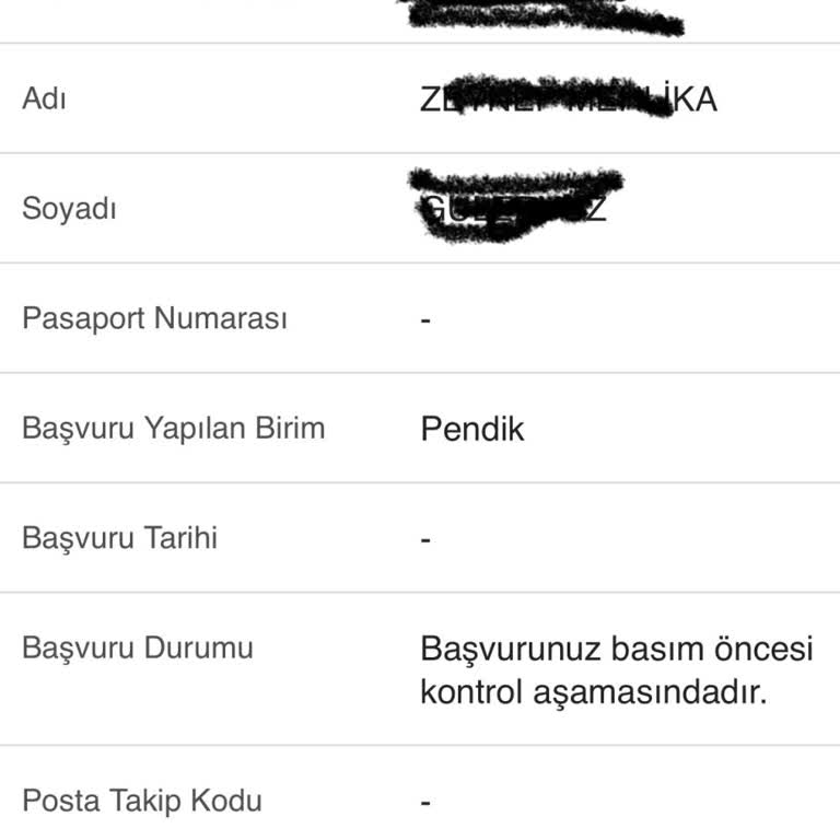 Nüfus Ve Vatandaşlık İşleri Pasaport Yenileme Gecikmesi Nedeniyle Vize Randevusu Riski
