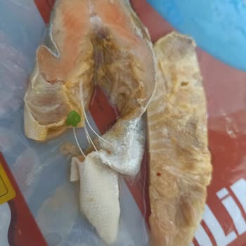 BİM'den Aldığım Somon Balıkları Bozuk Çıktı