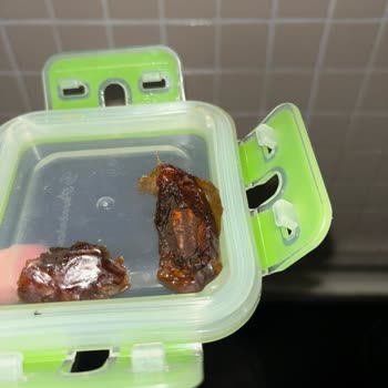 Tadım Hurma Kalitesi Hayal Kırıklığı Yarattı