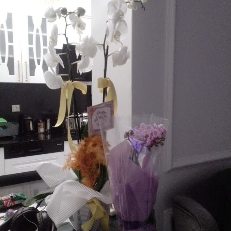 Rezil Eden Sipariş: İstanbul Çiçekleri Hayal Kırıklığı