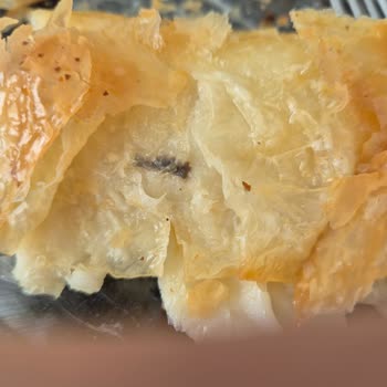 Levent Börek'ten Gelen Şok Edici Buluntu