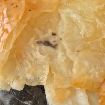 Levent Börek'ten Gelen Şok Edici Buluntu