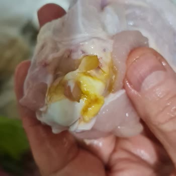 Yeşil Tavuk Skandalı: Sağlığımız Tehlikede!