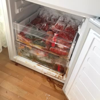 Altus Buzdolabı Soğutmak Yerine Donduruyor!