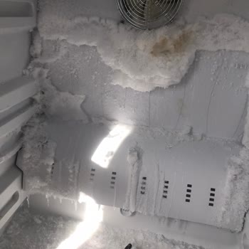 Altus Buzdolabı Soğutmak Yerine Donduruyor!