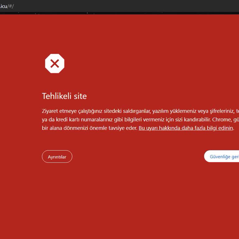 Tehlikeli Site Uyarısı Ve Kandırılma Endişesi
