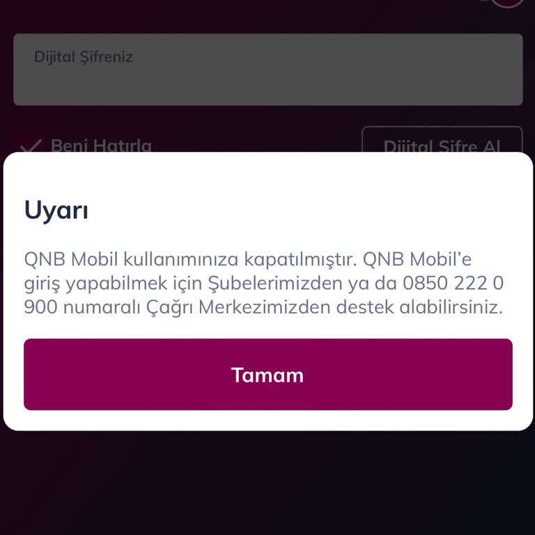 Mobil Bankacılık Erişim Sorunu