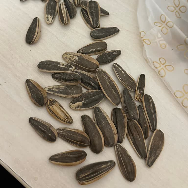 Çekirdek Kalitesindeki Düşüş