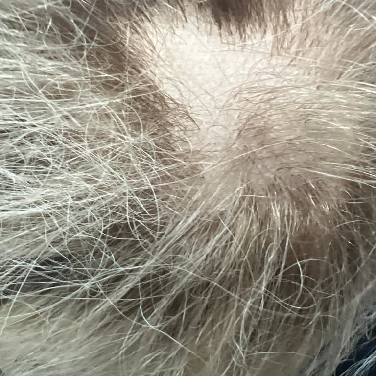 Kalitesiz Ürün Ve Kaba Hizmet Deneyimi