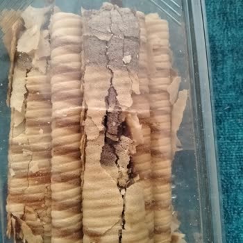 Kırık Gofret Ve İlgisizlik Şikayeti