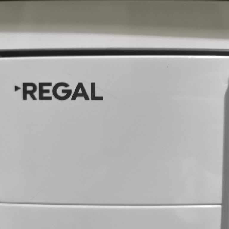 Regal Bulaşık Makinesi Arızası Ve Servis Sorunu