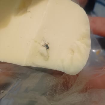 Sağlık Tehlikesi: Ürünlerde Hijyen Sorunu