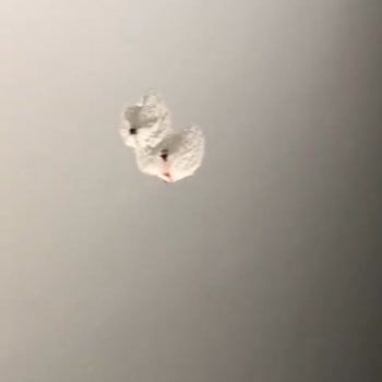 Arçelik Ürün Kurulumunda Yaşanan Sorunlar