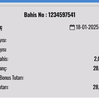 Pulibet'te Kayıp Bonus Sorunu Ve Düşen Bakiye