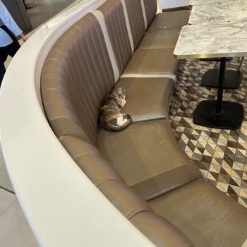 Hijyen Sorunları Ve Kötü Kokular