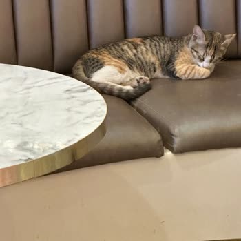 Hijyen Sorunları Ve Kötü Kokular