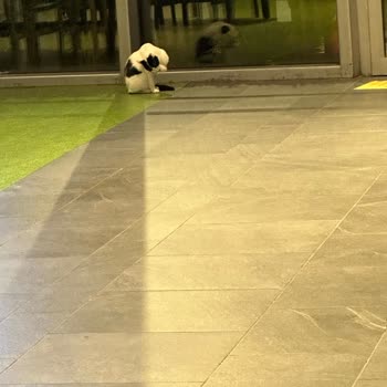 Hijyen Sorunları Ve Kötü Kokular