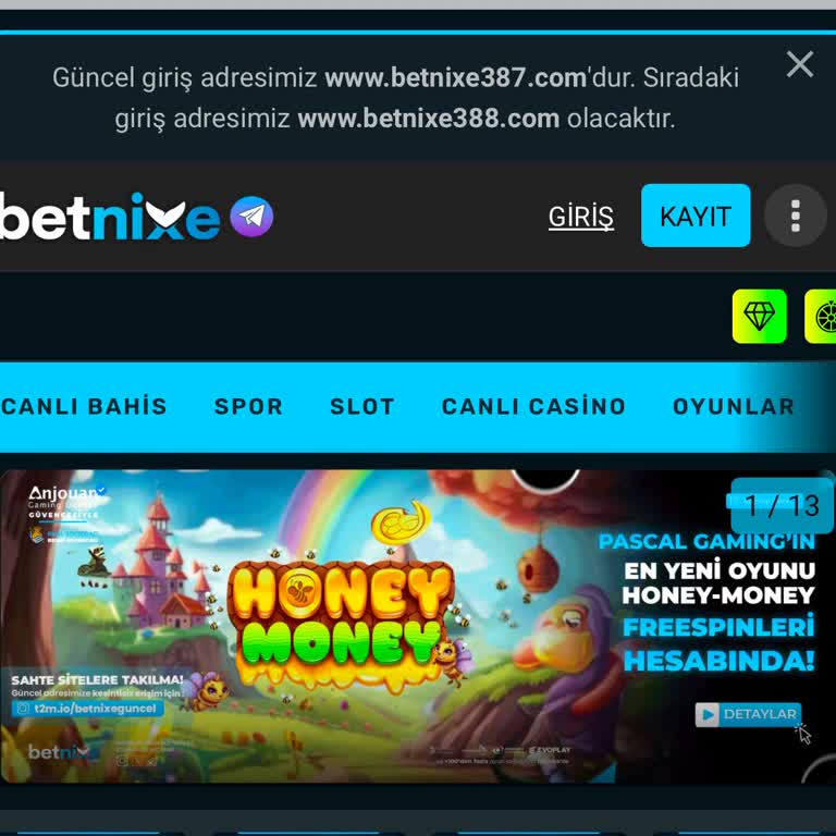 Ödeme Sorunları Ve Erişim Engeli