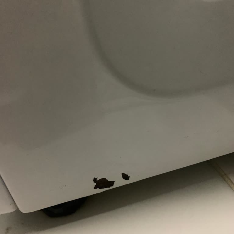 Arçelik Çamaşır Makinesi Boya Sorunu Ve Garanti Endişesi