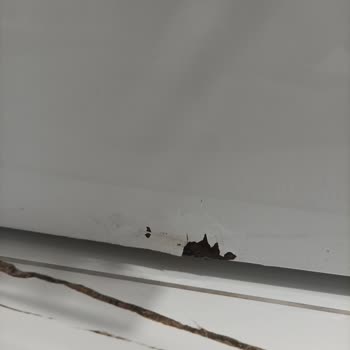 Arçelik Çamaşır Makinesi Neden Paslanıyor?