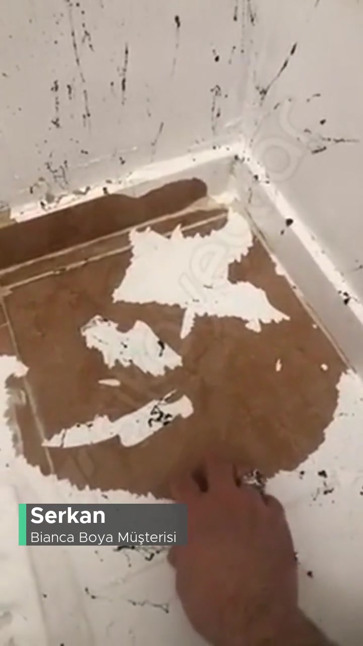 Bianca Stella Boyadan Mağduruz Giden Paraya Mı Emeğe Mi Acıyalım? videonun kapak resmi