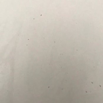 İstikbal Yatak Odası Takımındaki Deformeler Ve İlgisizlik